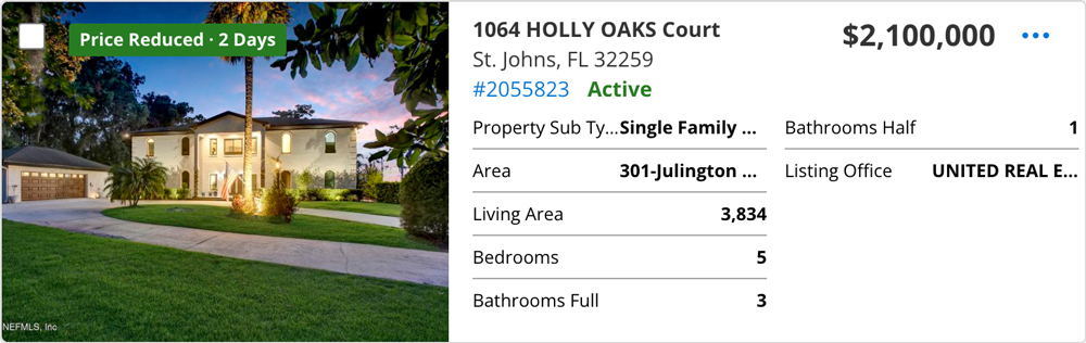 1064 Holly Oaks Court, St. Johns, FL 32259